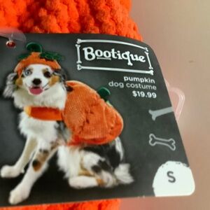 Dog costume - Pumpkon